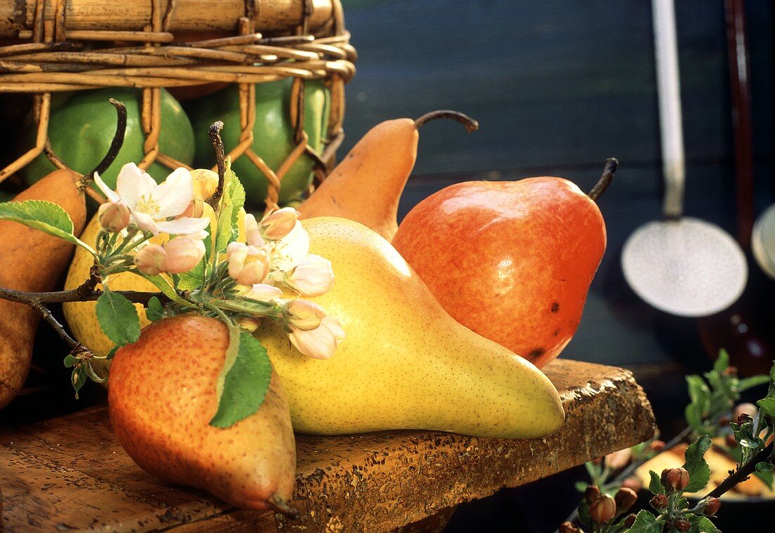 Still Life Of Assorted Pears