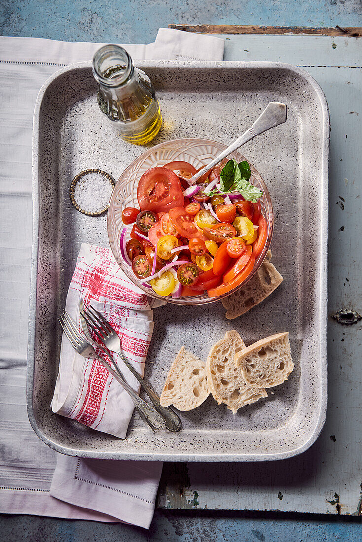 Tomato salad with red onions and baguette slices
