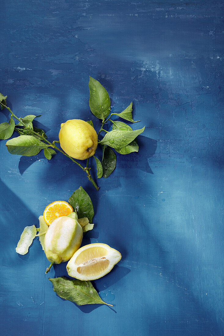 Stillleben mit Zitronen und Orange auf blauem Untergrund