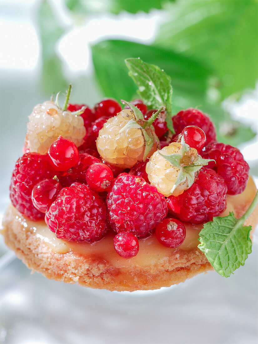 Mini-Tarte mit frischen Beeren