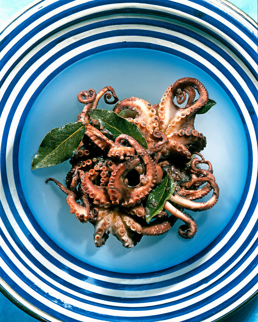 Greek octopus in red wine with bay leaves