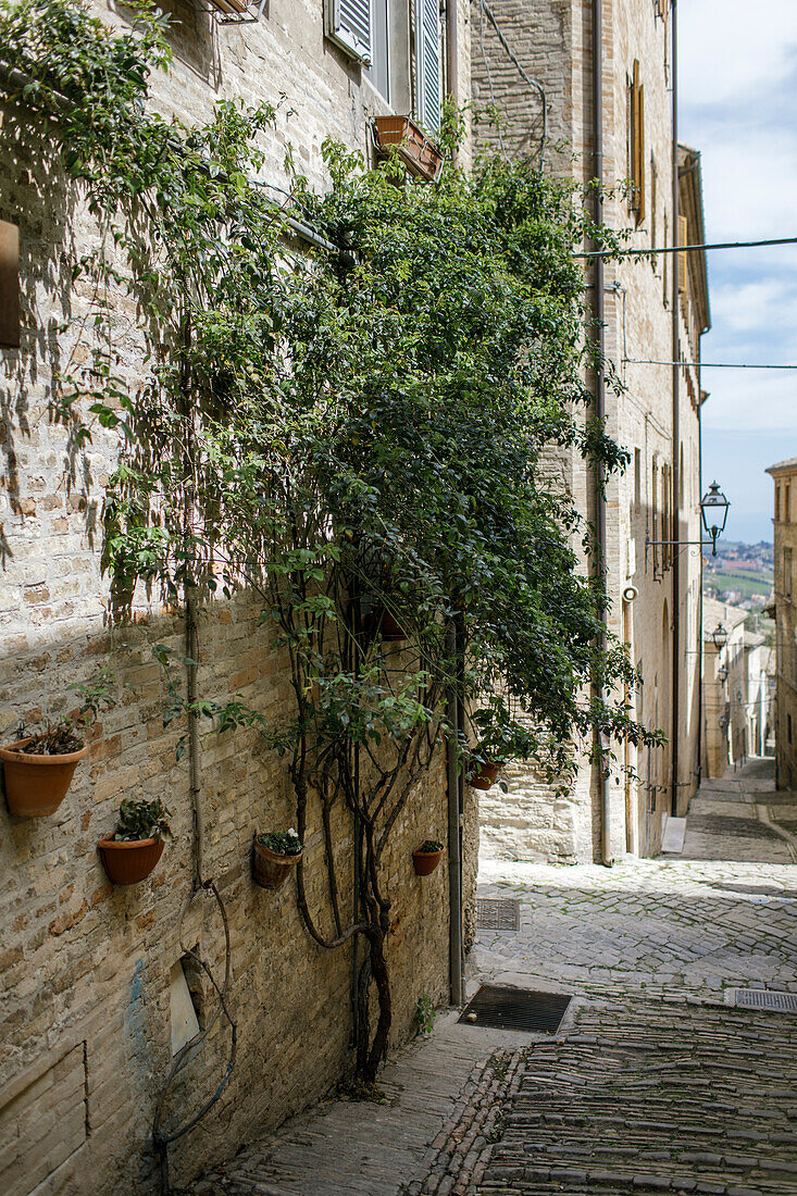 Typische Gassen in der Altstadt, Fermo, in den Marken, Adria, Italien