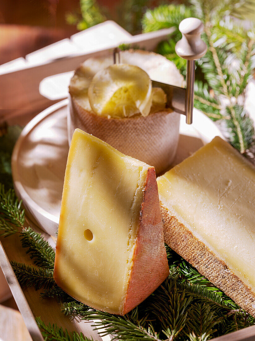 Swiss cheese wedges