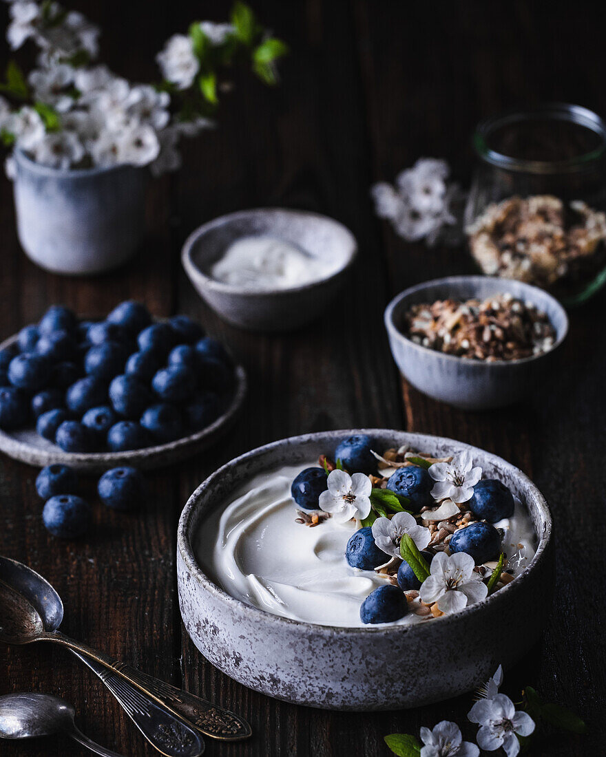 Müsli mit Joghurt und Heidelbeeren