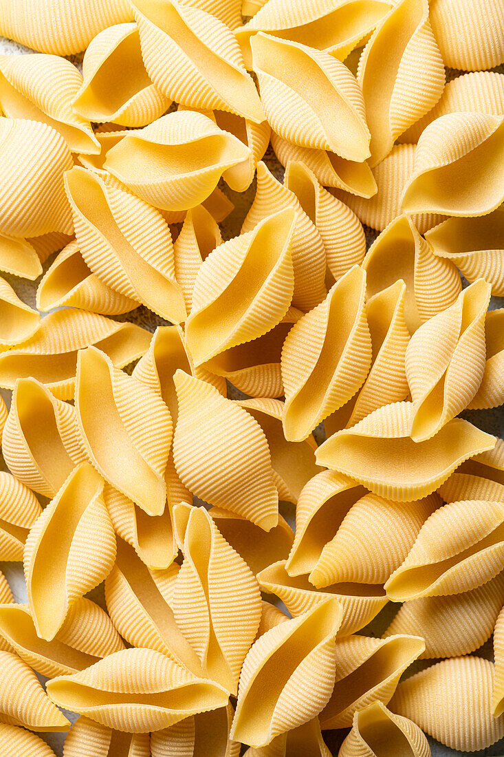 Uncooked conchiglioni (full screen)