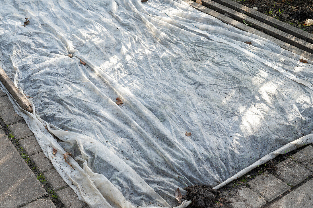 Tarp over vegetable patch, to protect it against carrot fly
