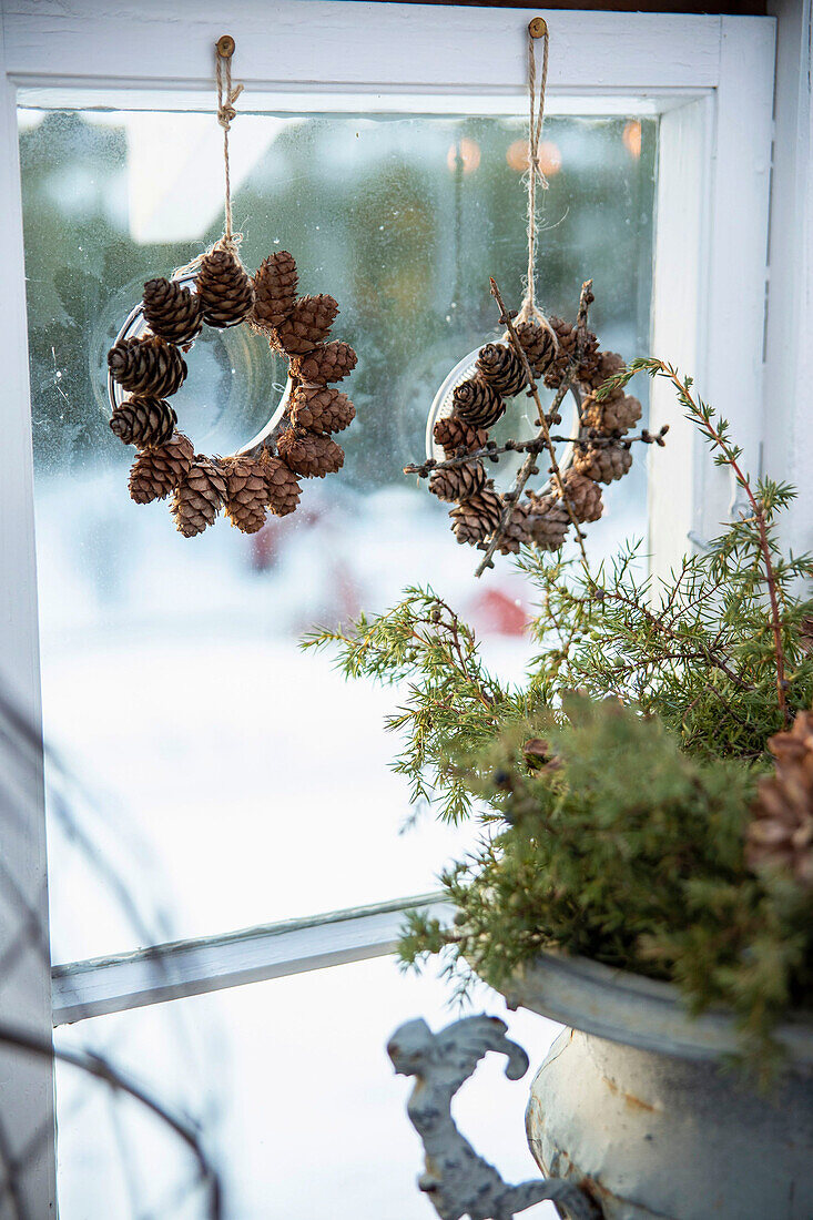 Wreaths made of cones in the window of a greenhouse