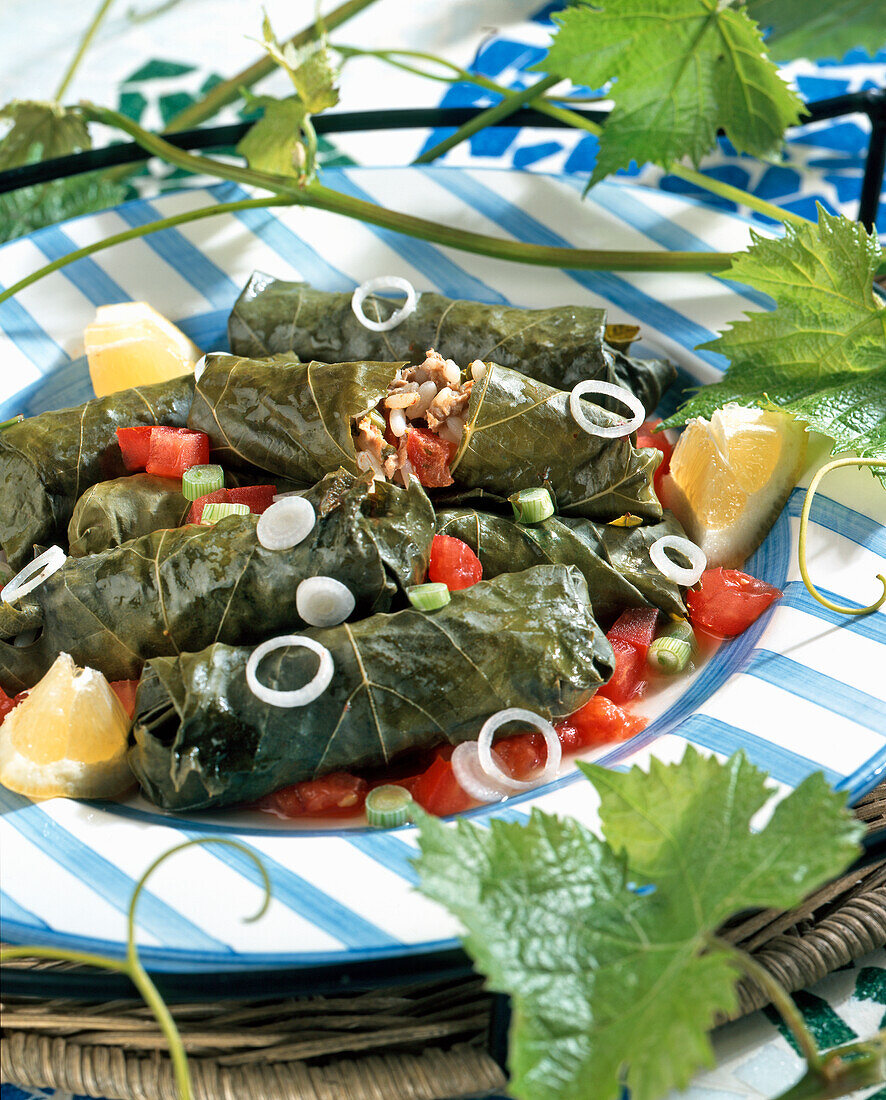 Stuffed warm vine leaves (Greece)