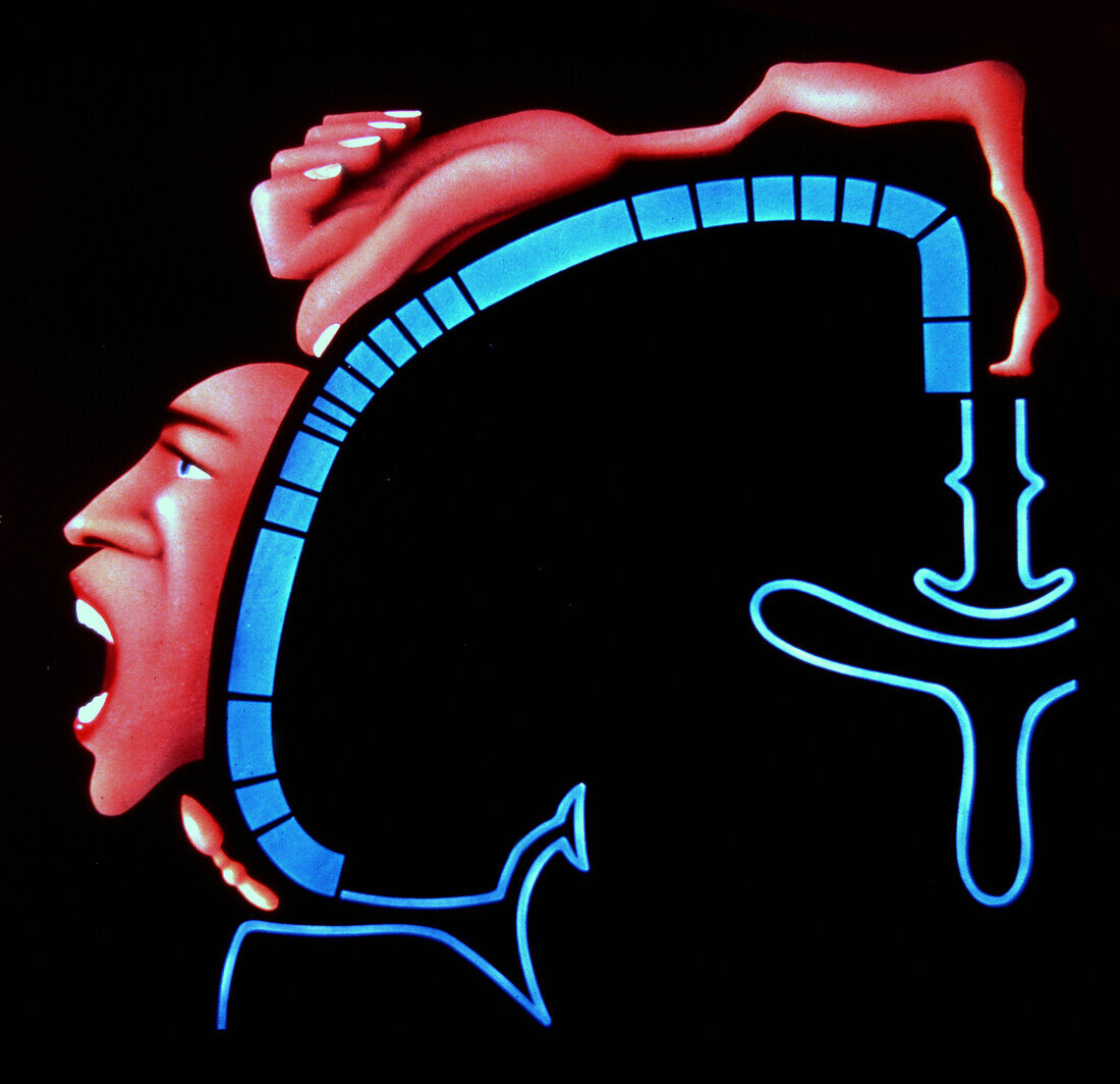 Brain-body control, illustration