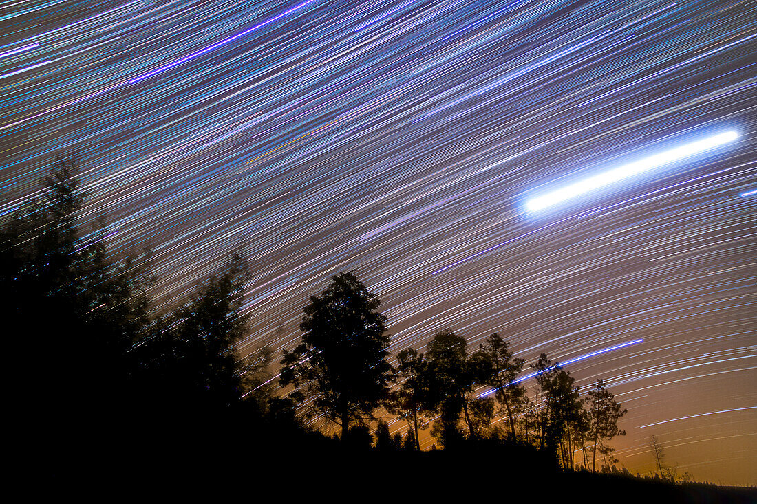 Jupiter and star trails above silhouette of trees