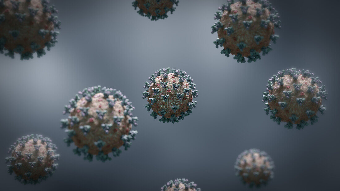 SARS-CoV-2 coronavirus, illustration
