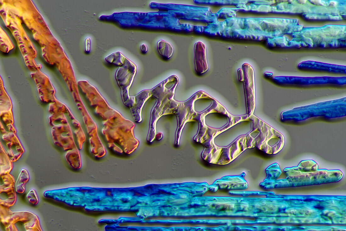Crystallized amino acid mixture, light micrograph