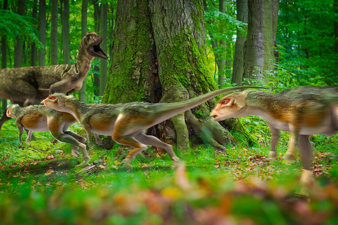 Dyrosaurus dinosaurs running from a predator, illustration