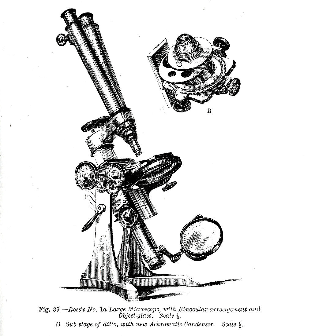 Ross's No. 1a large microscope, 19th century illustration