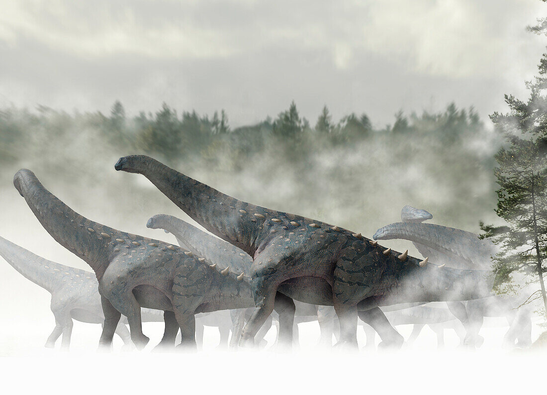 Alamosaurus herd walking in the mist, illustration