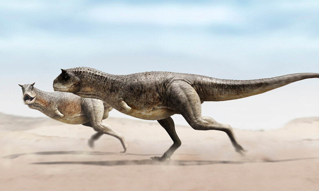 Carnotaurus dinosaurs running