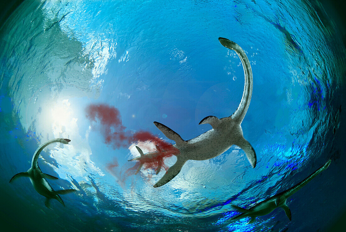 Plesiosaurus marine reptile birthing, illustration