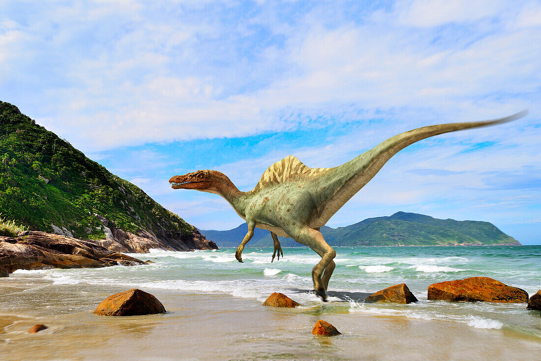Vallibonavenatrix dinosaur on a beach, illustration