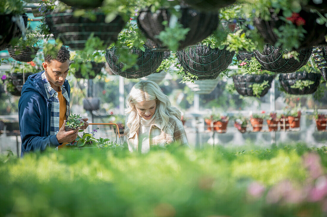 Couple shopping for plants in garden shop