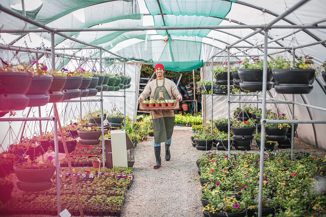 Male garden shop owner carrying tray of potted plants