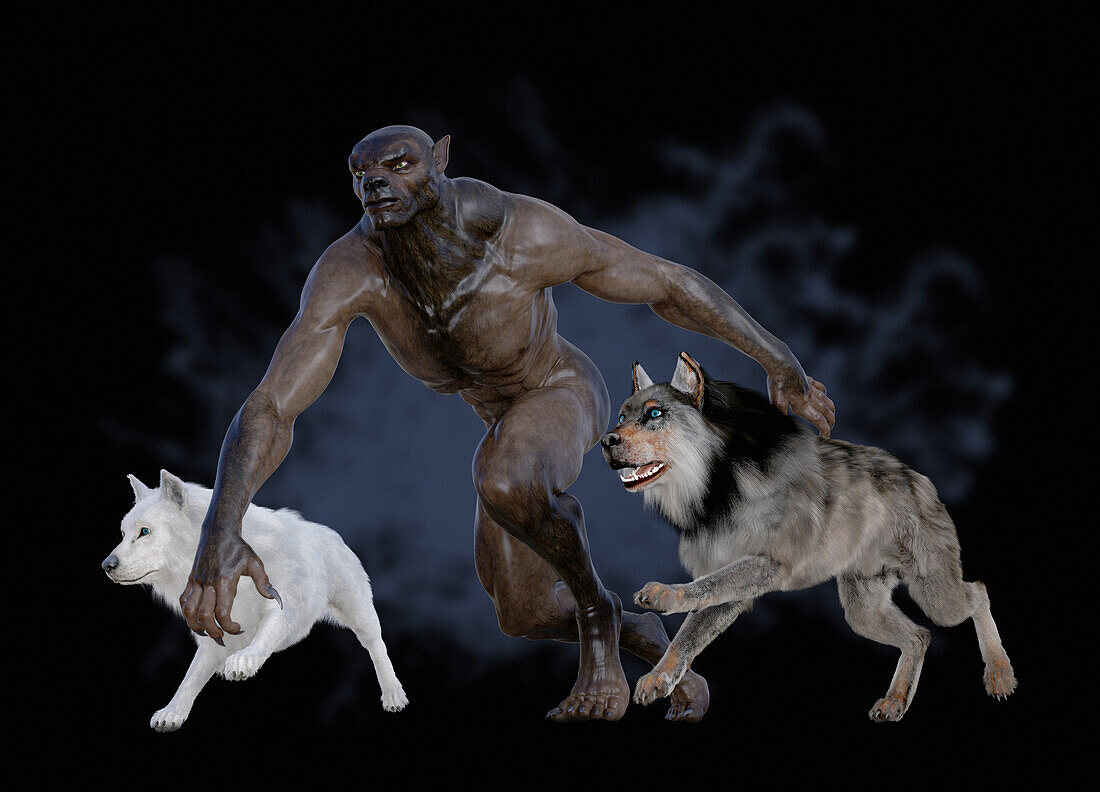 Werewolf and wolves, illustration