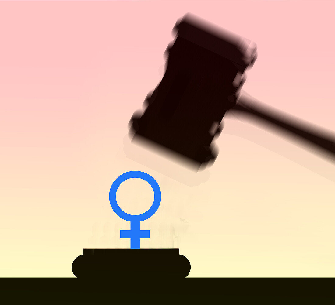 Judge's hammer coming down on a female symbol, illustration