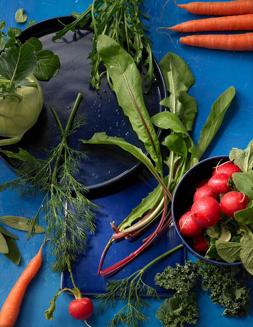 Fresh raw vegetables and herbs