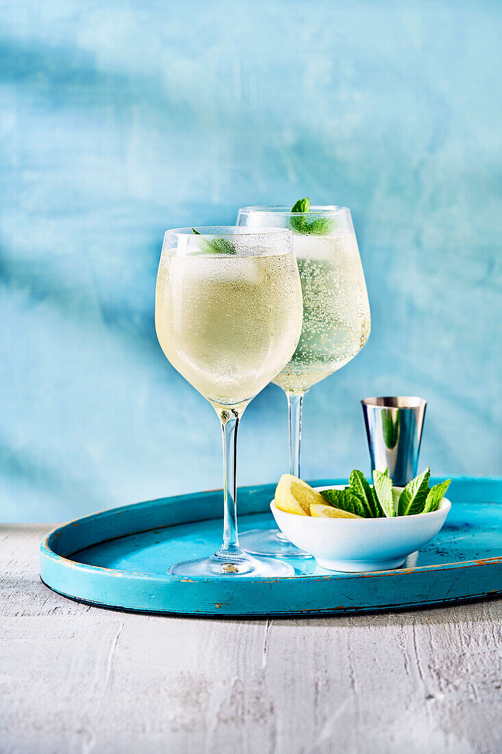 White wine spritzer