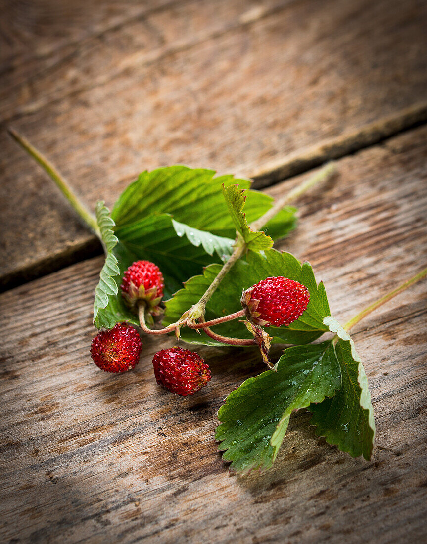 Wild strawberries with leaves on a wooden background
