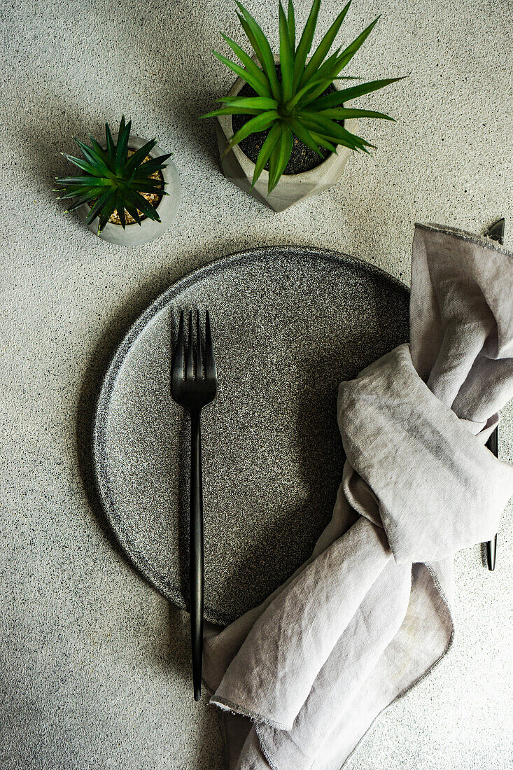 Minimalistische Tischdekoration mit Kaktuspflanzen im Topf auf Betongrund