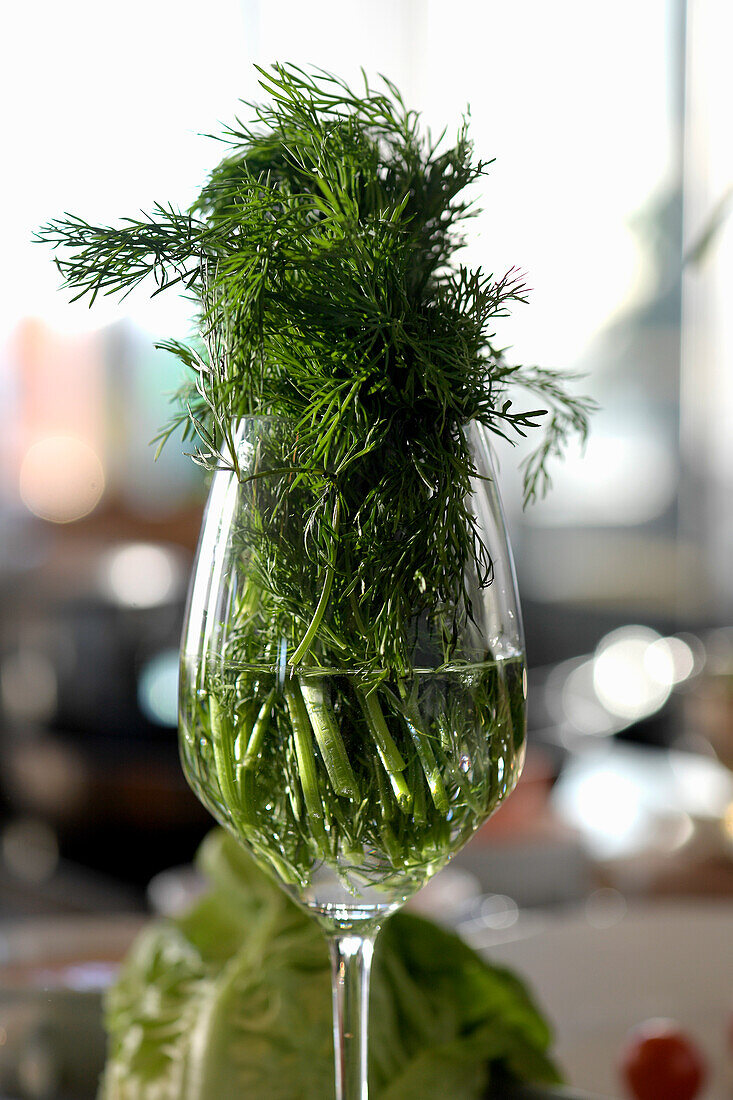 Frischer Dill in einem Glas mit Wasser