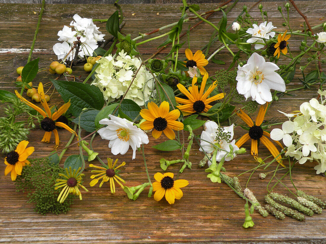 September flowers - coneflower, hydrangea and anemone