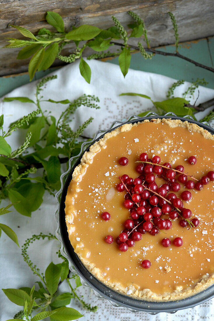 Caramel tart garnished with red currants