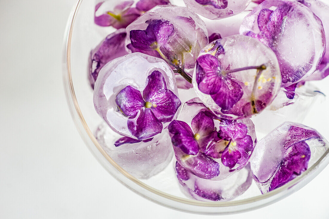 Glas mit violetten Hortensienblüten-Eiswürfeln
