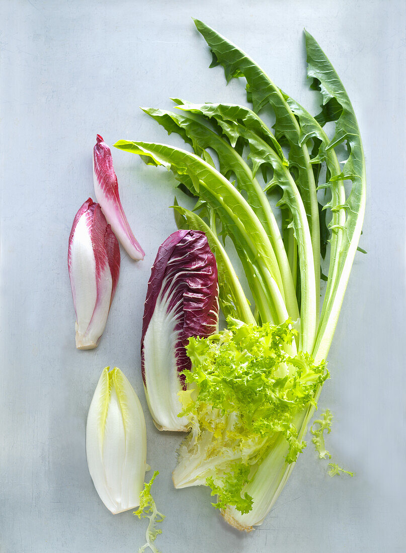 Chicory, radicchio, leaf chicory (also known as chicory de catalogna) and curly endive