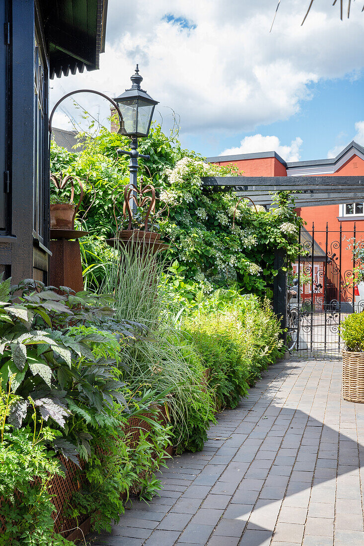 Planting along the paved path