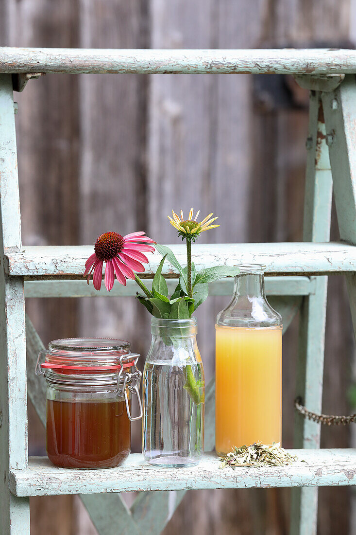 Ingredients for Echinacea Oxymel for Medicinal Use