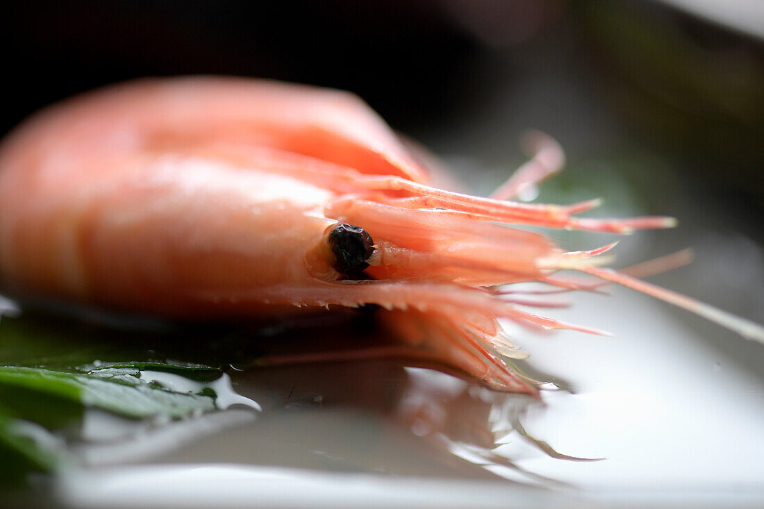 A shrimp