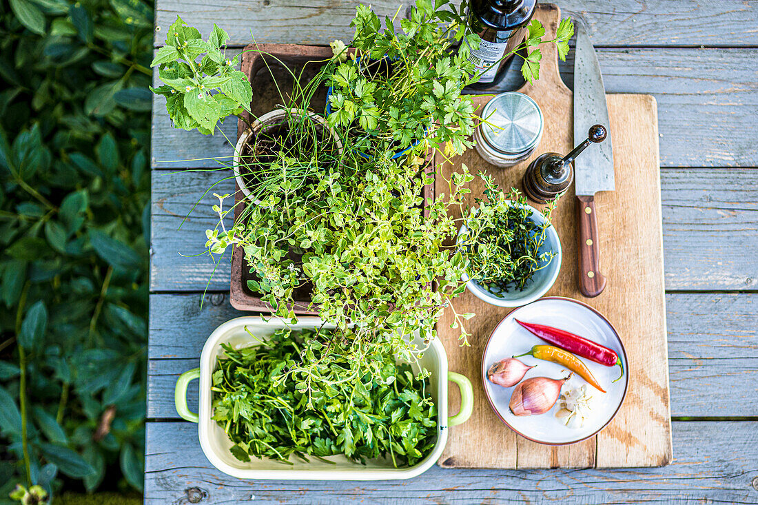 Fresh herbs, chilies, and garlic (ingredients for chimichurri) on a garden table