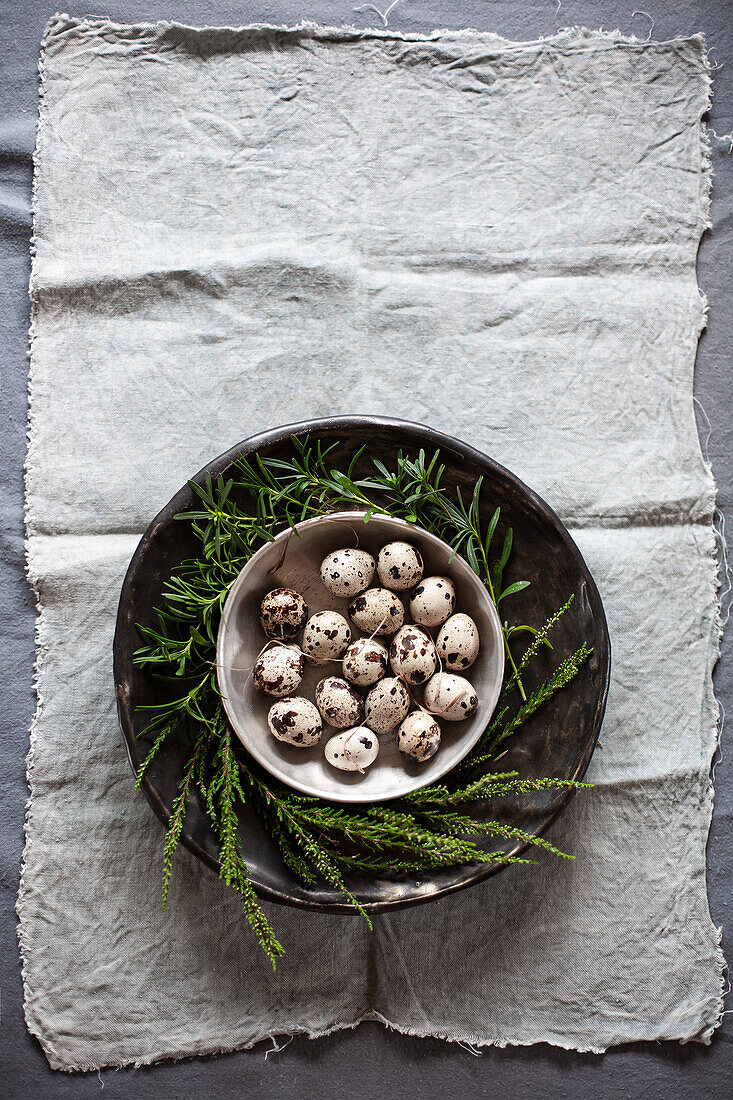Bowl with quail eggs and twigs on a plate