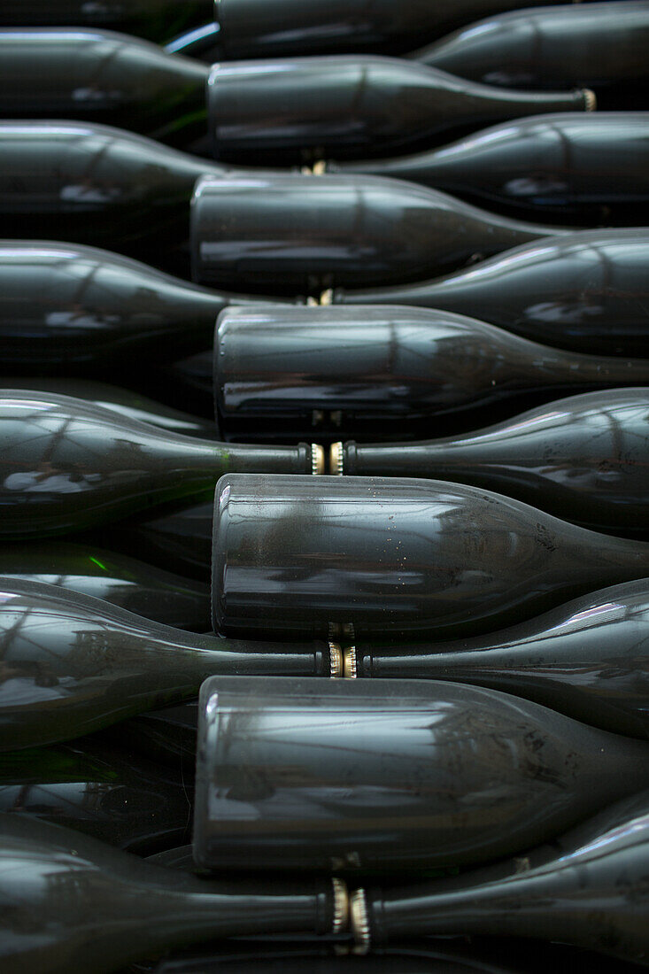 Champagnerflaschen im Keller