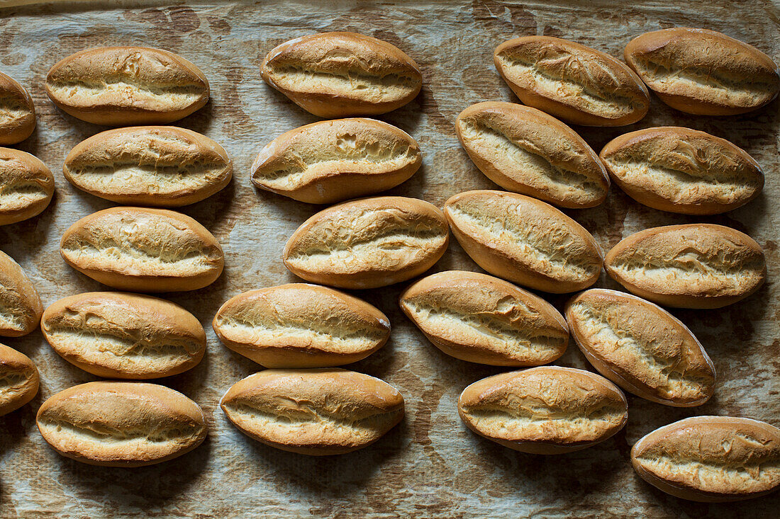 Small rolls on baking tray