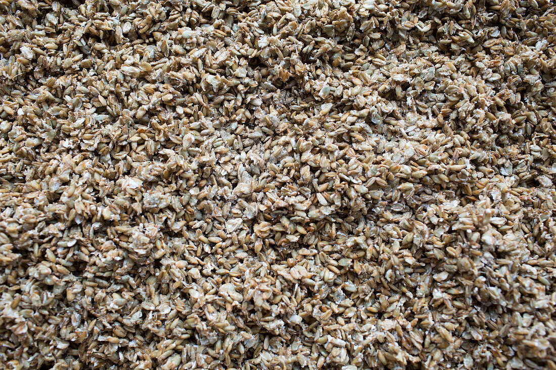 Sprouted cereal grains (full picture)