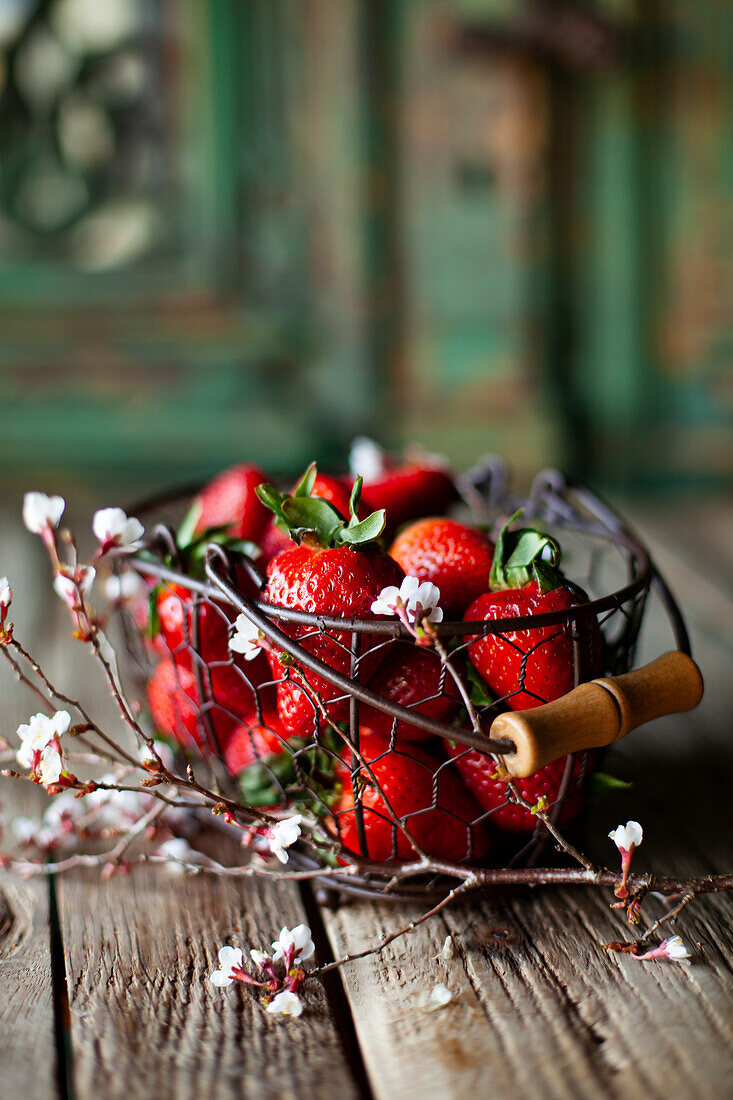 Frische Erdbeeren in Drahtkörbchen