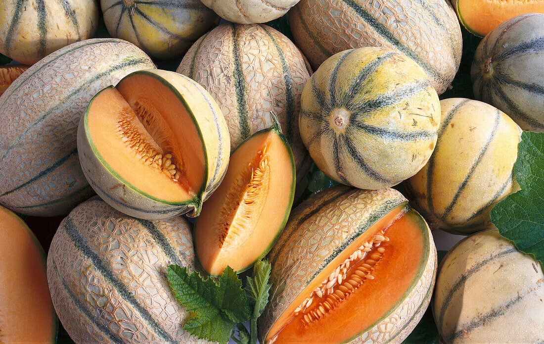 Cantaloupe melons (fills the picture)