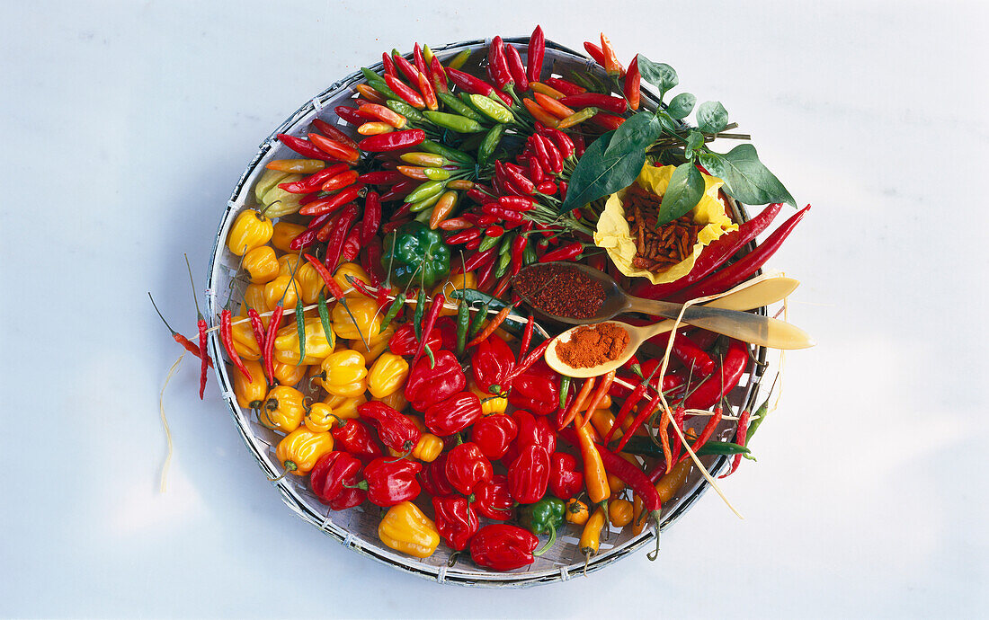 Verschiedene Sorten frische Chillies