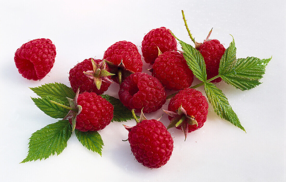 Himbeeren und Blätter auf hellem Untergrund