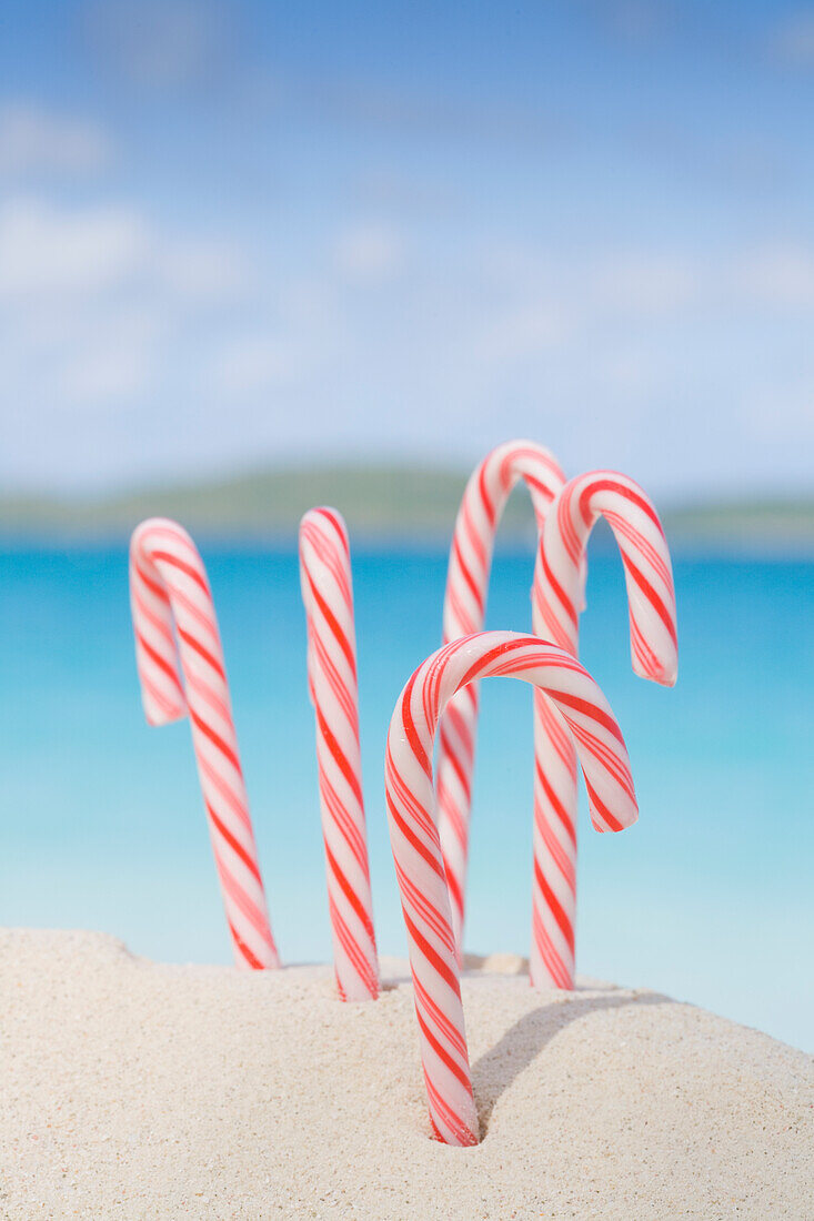 Weihnachtszuckerstangen am tropischen Strand