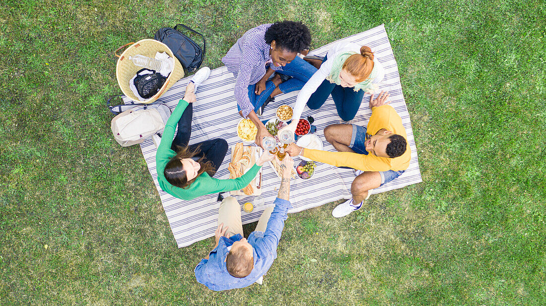 Fröhliche junge Freunde, die sich mit Getränken auf Picknickdecke im Garten zuprosten