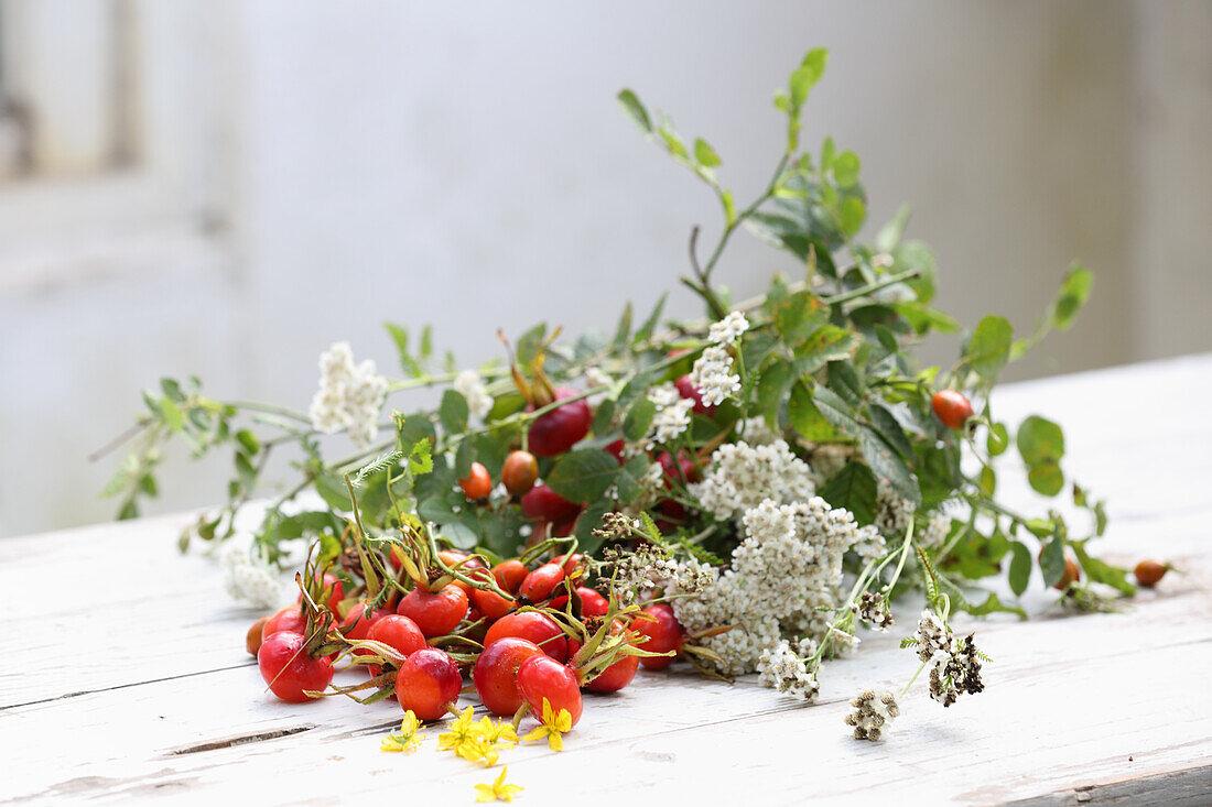 Rosehips and yarrow